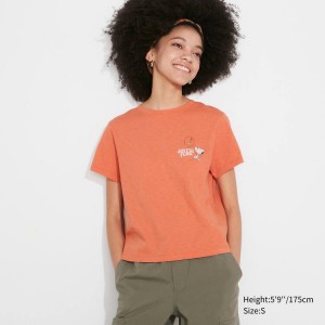 Uniqlo Love Sunshine & Peanuts Ut Graphic Women's T Shirts Orange | JLRGAK682