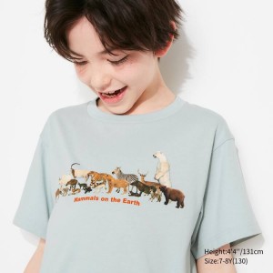 Uniqlo National Museum Of Nature And Science Tokyo Ut Graphic Kids' T Shirts Light Green | SWIRXP514