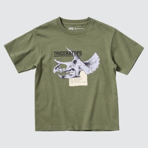 Uniqlo The Smithsonian Ut Graphic Kids' T Shirts Olive | HYAXTM051