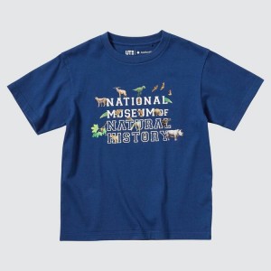 Uniqlo The Smithsonian Ut Graphic Kids' T Shirts Blue | FWRADI569