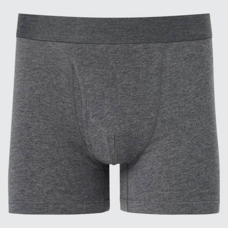 Uniqlo Cotton Boxer Men\'s Underwear Grey | CTLXDK417