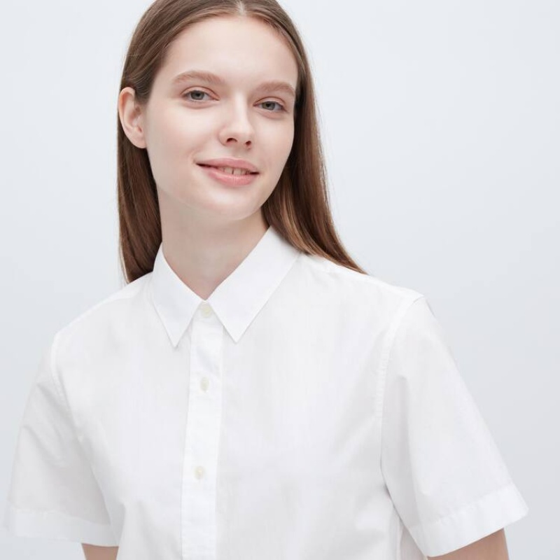 Uniqlo Cotton Short Sleeved Women's Shirts White | WDLHER532