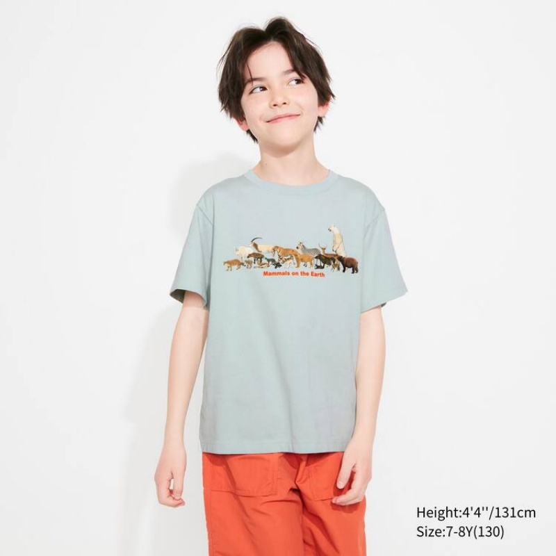 Uniqlo National Museum Of Nature And Science Tokyo Ut Graphic Kids' T Shirts Light Green | SWIRXP514