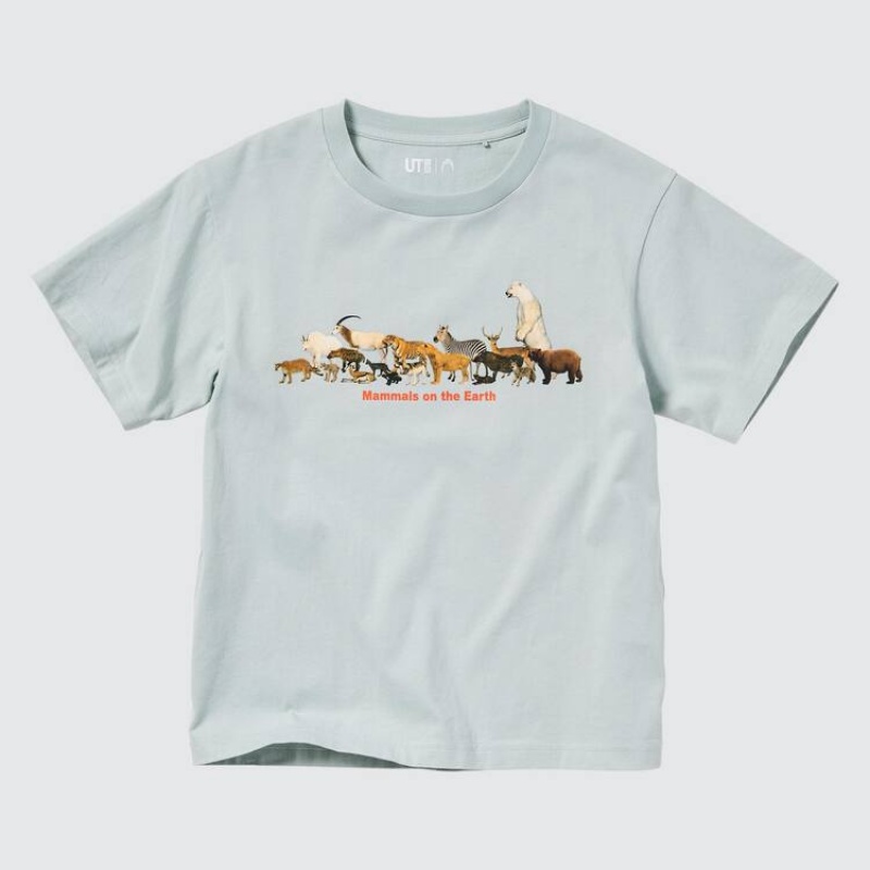 Uniqlo National Museum Of Nature And Science Tokyo Ut Graphic Kids' T Shirts Light Green | SWIRXP514