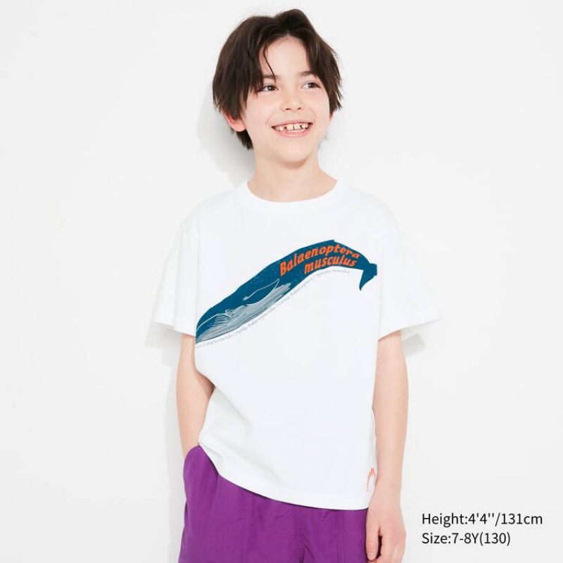 Uniqlo National Museum Tokyo Ut Graphic Kids' T Shirts White | WUQSLG716