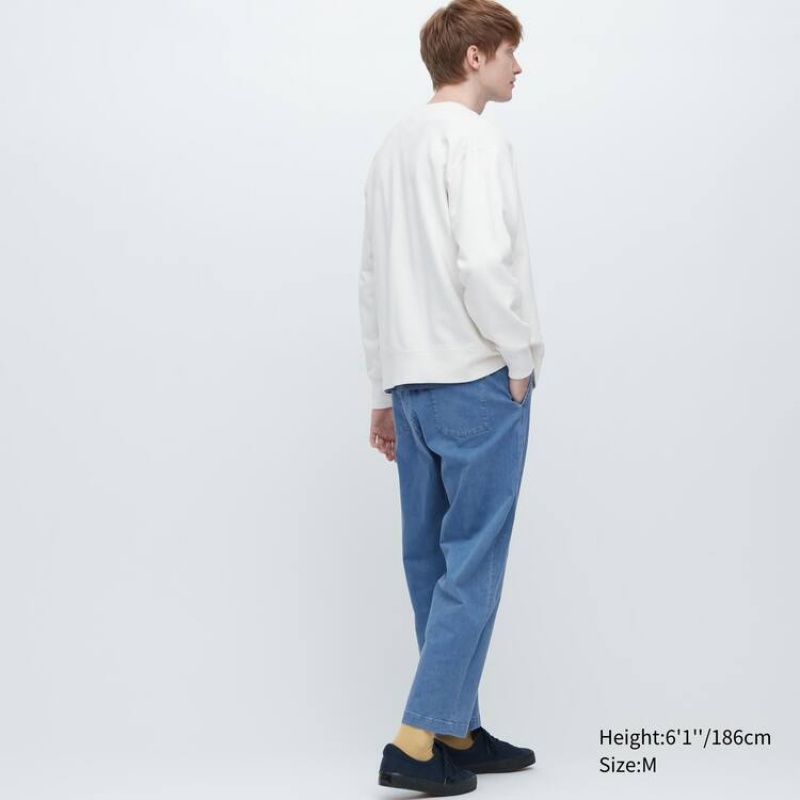 Uniqlo Relaxed Fit Ankle Length Men's Trousers Blue | HLXURT138