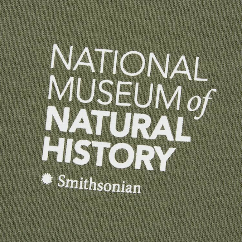 Uniqlo The Smithsonian Ut Graphic Kids' T Shirts Olive | HYAXTM051